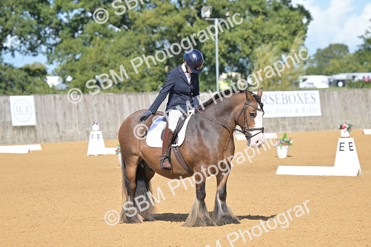 SBM_03949 - D2 - Small Tour Championship Intro 2
