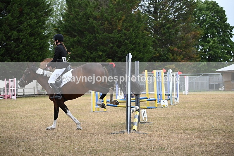 WJ6_0059 - Class 13 Novice Jumping 60cm
