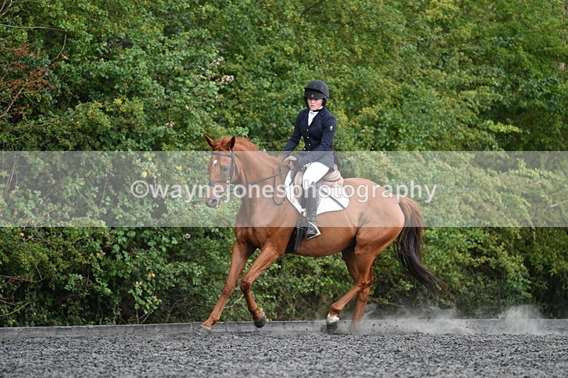 WJ7_7902 - Time 13:40 to 14:00