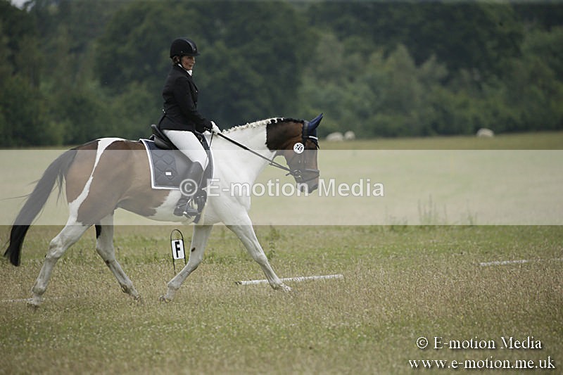B230619-0640 - Bourne Valley Riding Club Summer Show 23/06/19