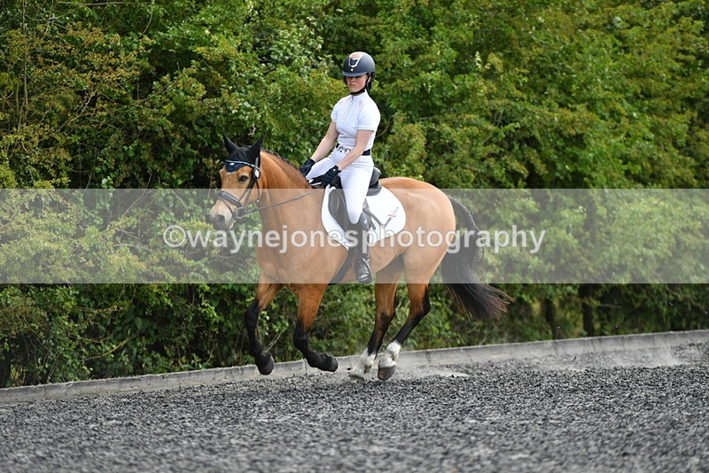 WJ5_1019 - Time 13:45 to 14:20