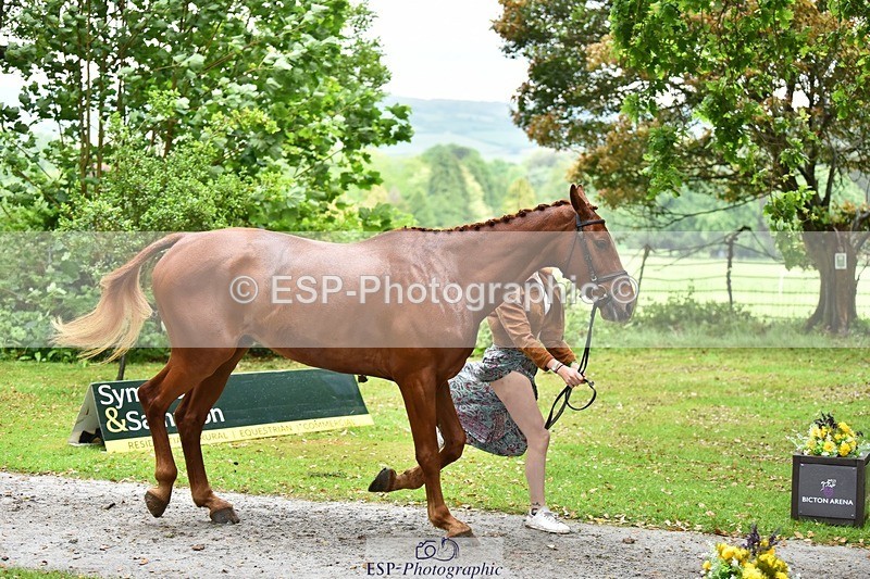 240522-163444-01018 - 212-RIVERSTOWN_ROYAL-Georgie_Frow