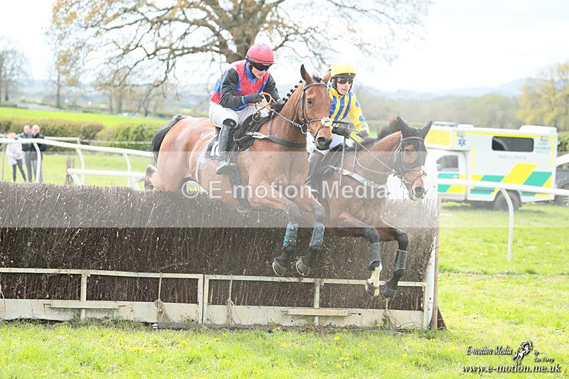 PtP 180426 342 - Worcestershire Hunt PtP Chaddesley Corbett 18/04/26