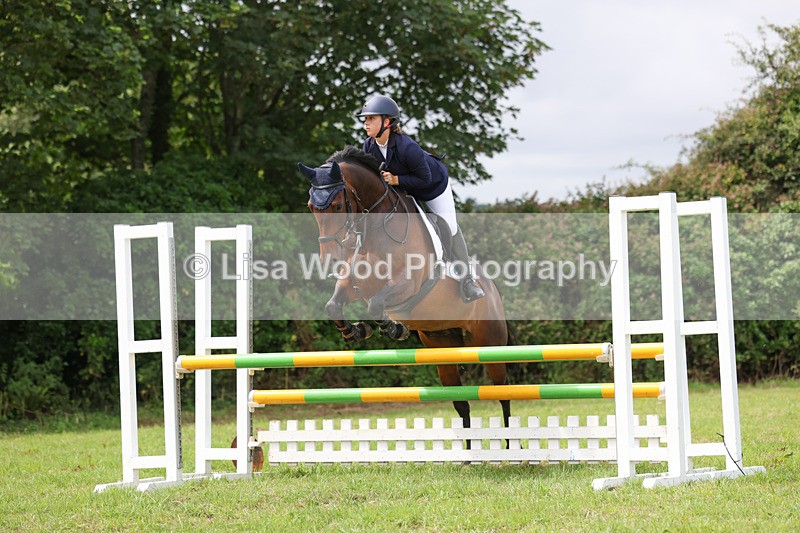 3E7A6956 - Class 5: Senior British Novice/90cm open