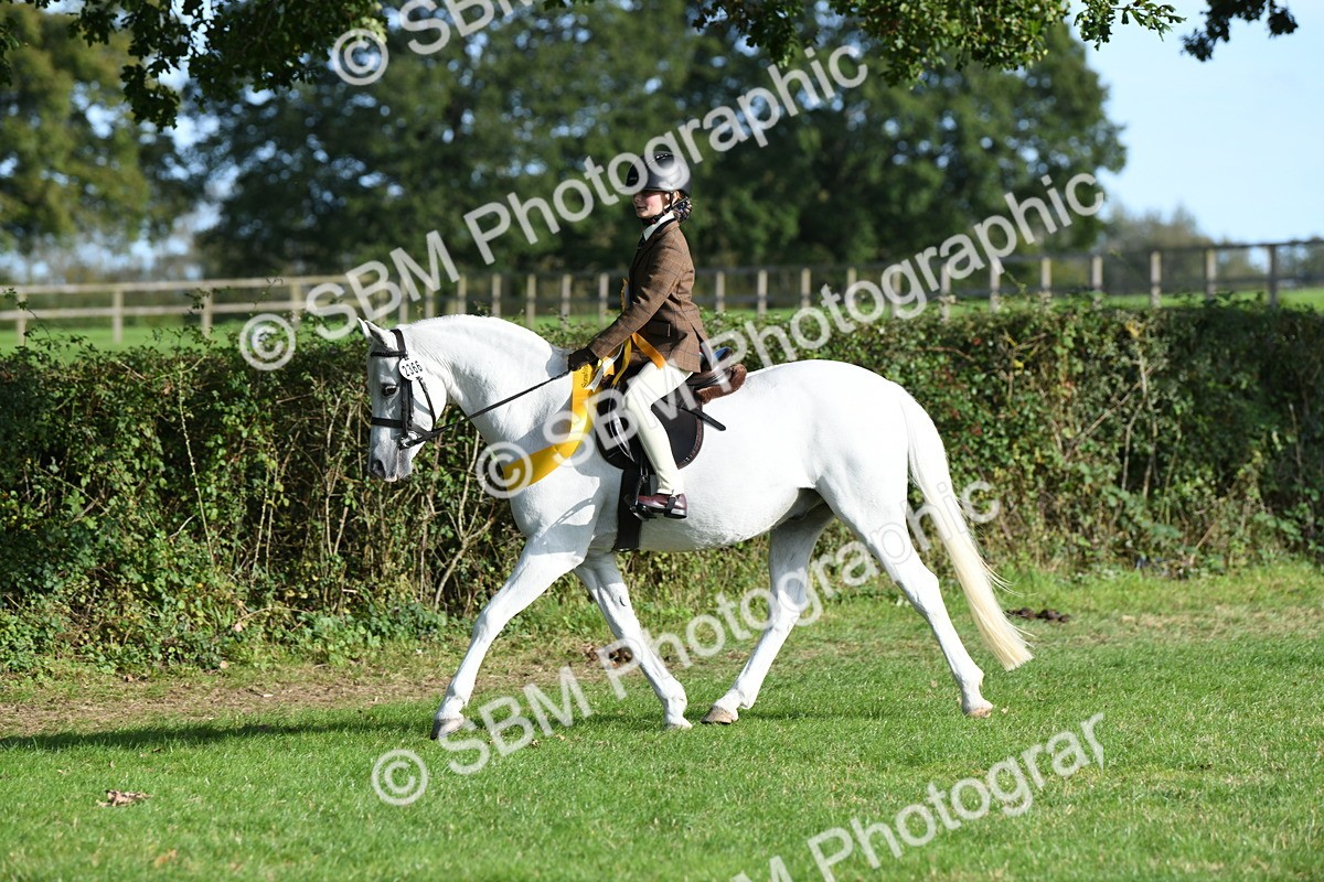 SBM_52084 - S21 - Novice & Newcomers 1st Ridden Pony