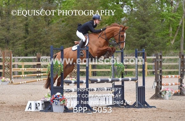 BPP_5053 - CLASS 24 SUN Senior BritiNovice/ 90cm Open