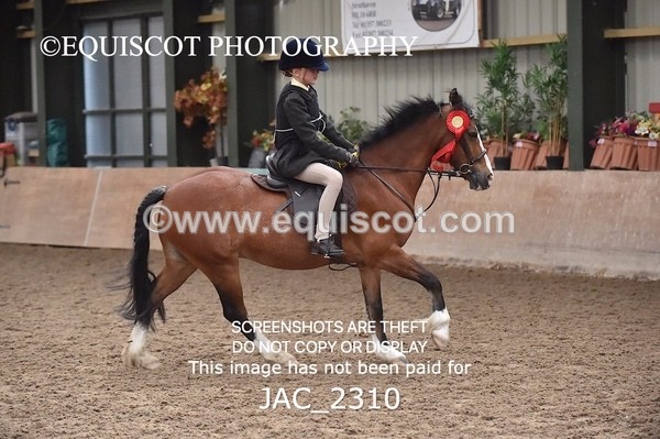 JAC_2310 - CLASS 2 Novice Working Hunter