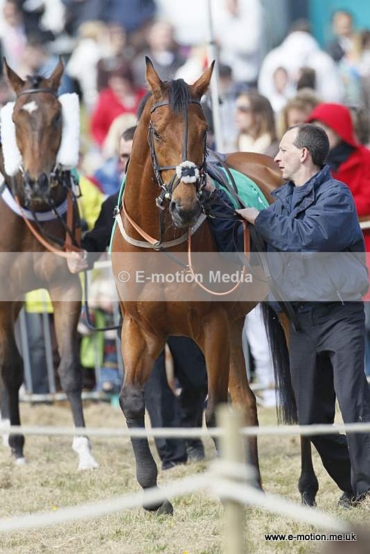  GRD 030510 109 - Guernsey Race Day 03/05/10