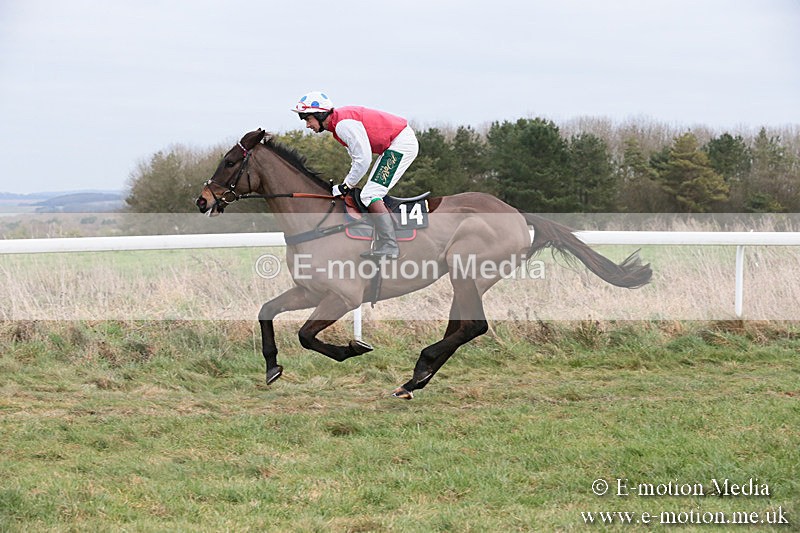 PtP 060119 214 - Larkhill Racing Club - Point-to-Point- 06/01/2019