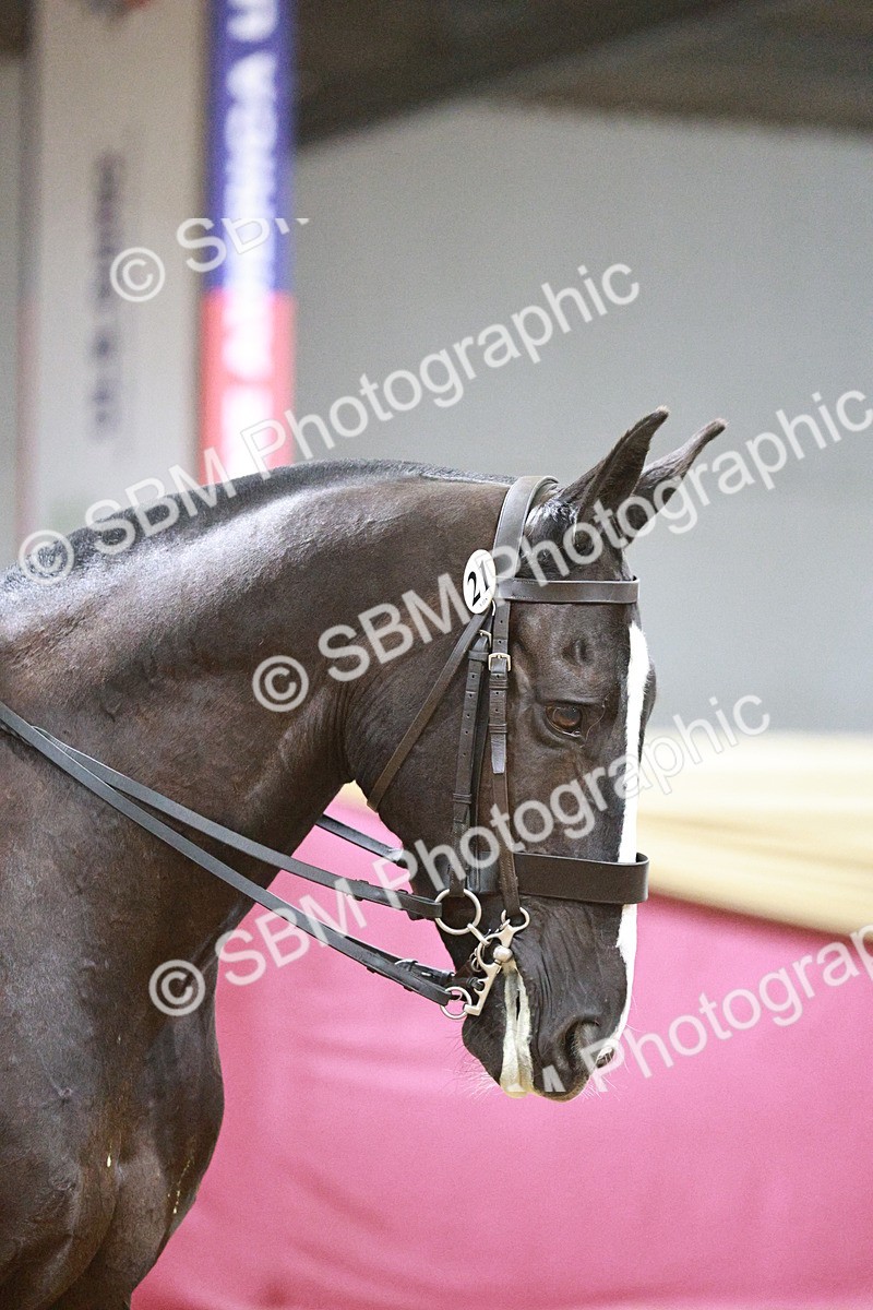 SBM_08083 - Class 11R - Regional Ridden Veteran