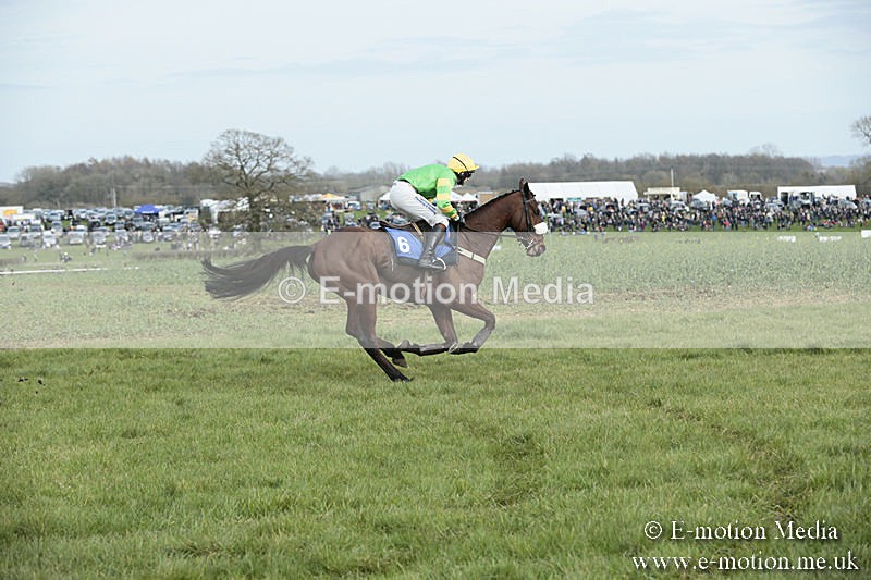 PtP 230319 272 - VWH Hunt Siddington Point-to-Point Racing 23/03/19