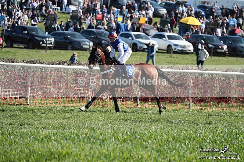 PtP 210326 269 - VWH Cirencester Races 21/03/26