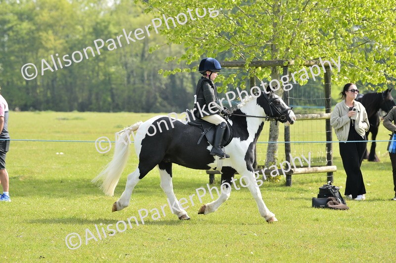 20260426-0934 - Class 18 - Novice Showing