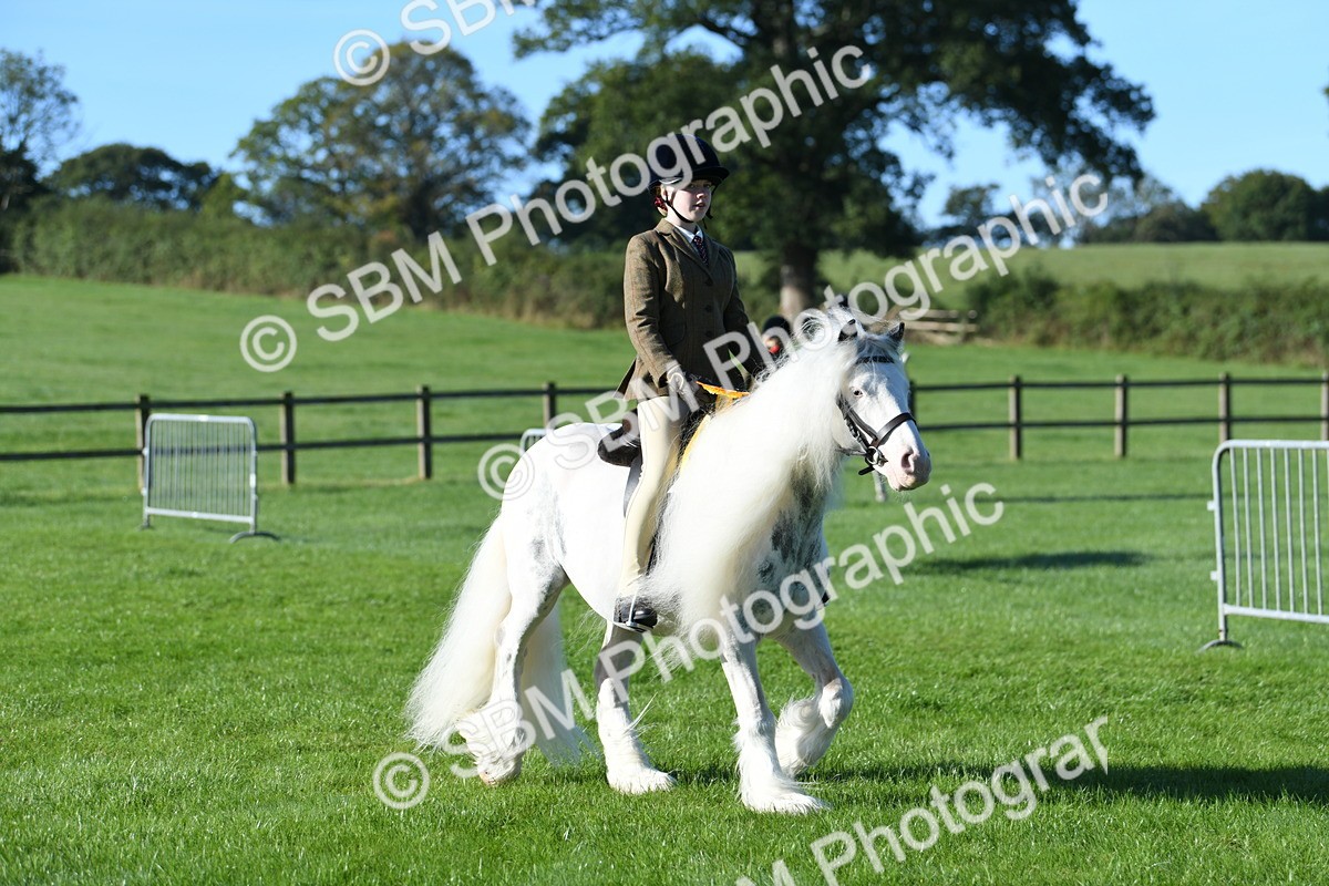 SBM_34143 - S16 - Condition & Turnout - Ridden