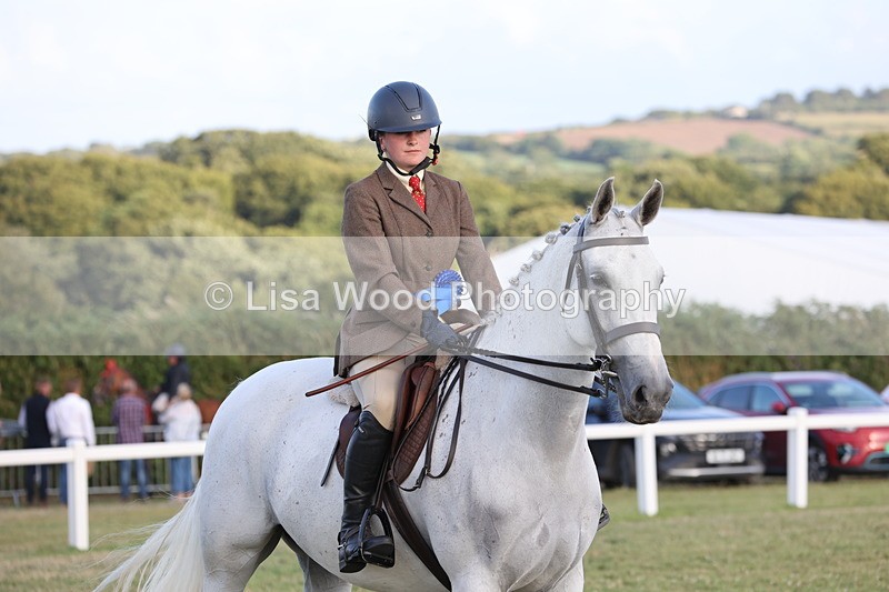 JPP_3739 - Working Hunter Championship
