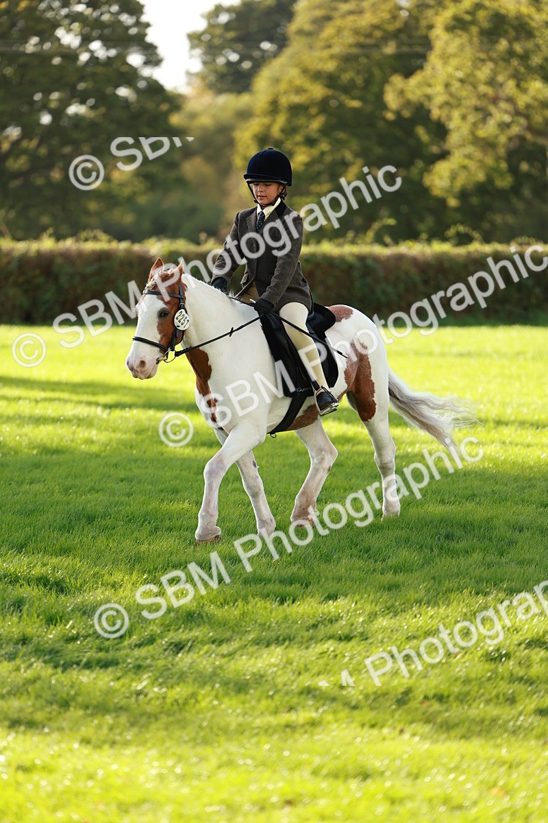 SBM_28692 - S7 - Novice & Newcomer Ridden Pony
