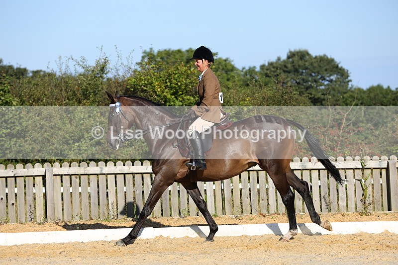 1X9A7603 - Class 7: Novice Ridden Hunter/Hack/Cob/Riding Horse