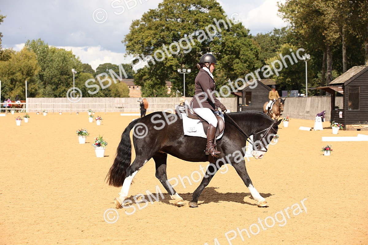 SBM_08876 - D8 Small Tour Championship Prelim 7