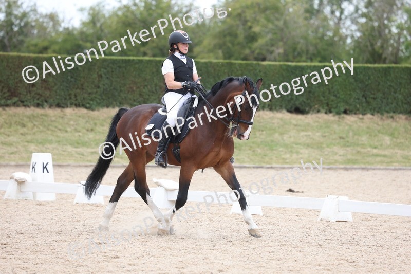 20250604-1089 - Class 7 - Medium 5