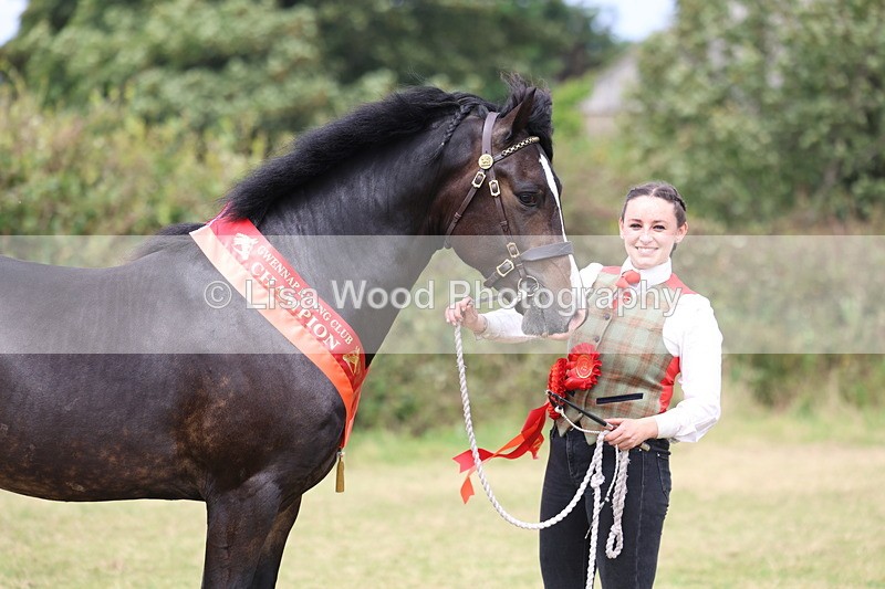 3E7A5745 - In Hand Championship