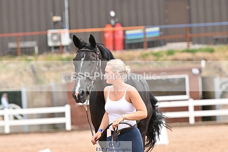 250716-144339-01337 - Trot Up 2.30 to 3.30