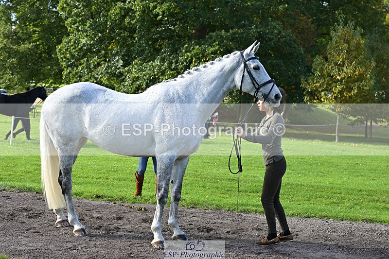 241023-130402-00048 - 003-Lydia.Heywood-COLACENTRIC