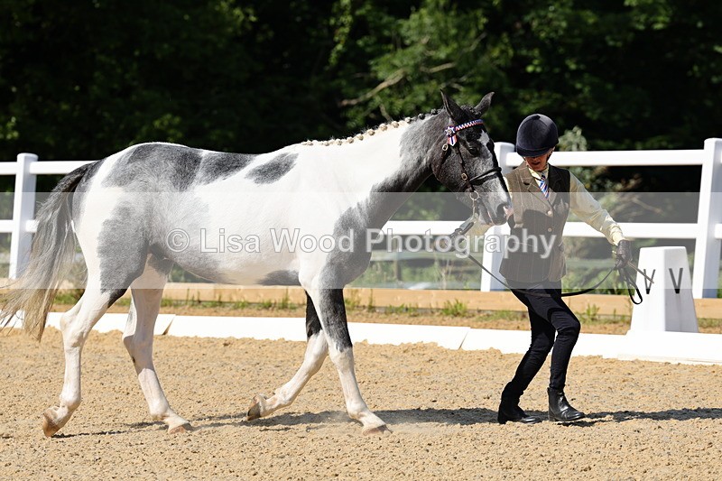 1X9A0758 - Class 4: Youngstock 1, 2, 3 year old to exceed 153cm