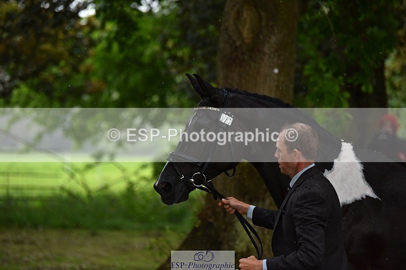 240522-151358-00188 - 377-HONEYBROOK_EXTRA_SPECIAL-Tom_Rowland