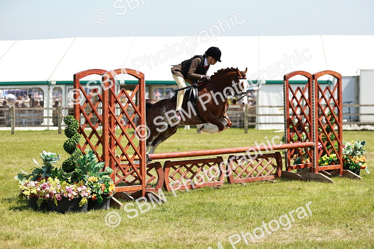SBM_15518 - Class 108-109 - BSPS LIHS Open Gradle & Nursery Stakes
