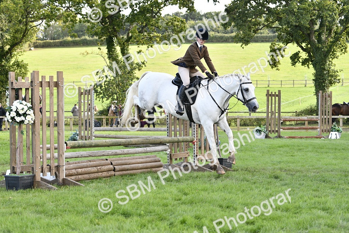 SBM_52185 - S35 - Working Hunter & Working Show Horse