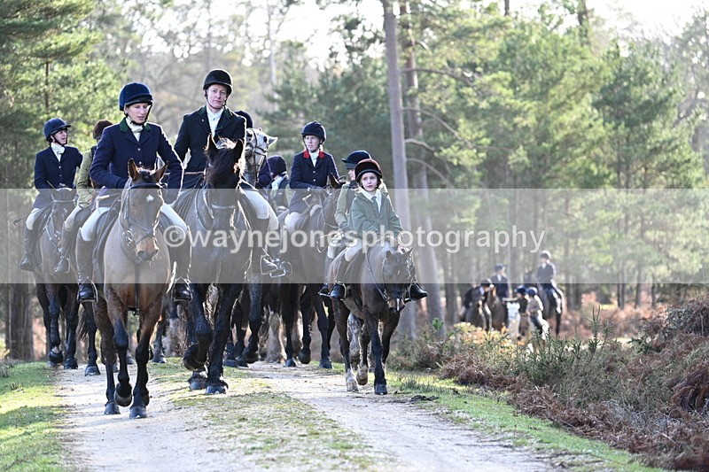 WJ7_7751 - Line 3 (no line 4 or 5)