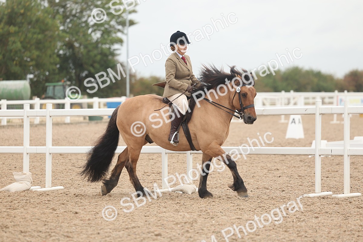 SBM_01879 - Class 14 - Ridden M&M Wildcard