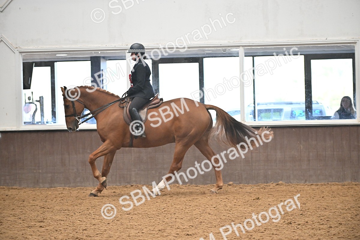 SBM_002735 - Ridden Showing Supreme Championships