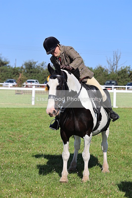 IMG_1604 - Class 30: Ridden Native/Trad Coloured Pony