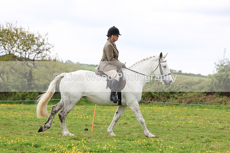 3E7A1250 - Class 7: Ridden Hunter Type