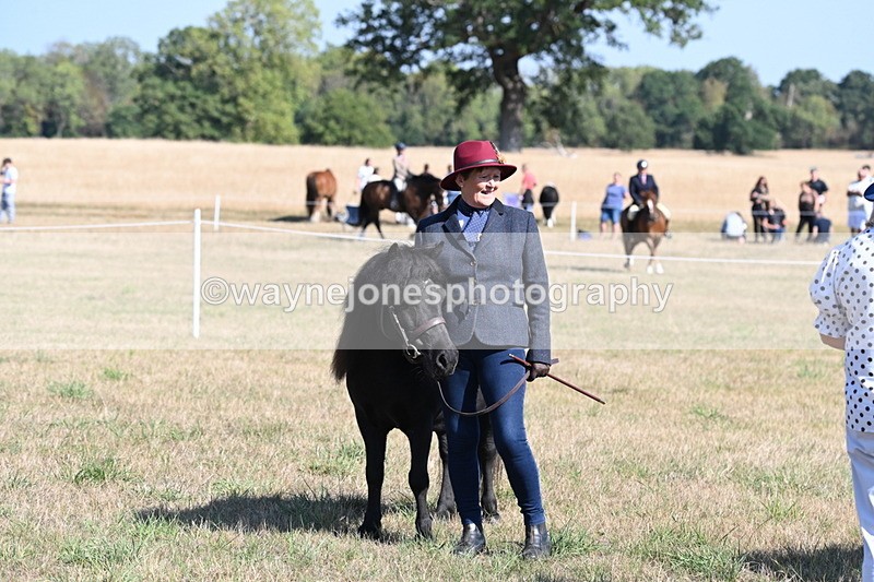 WJ6_4297 - Class 16 Condition & Turn Out