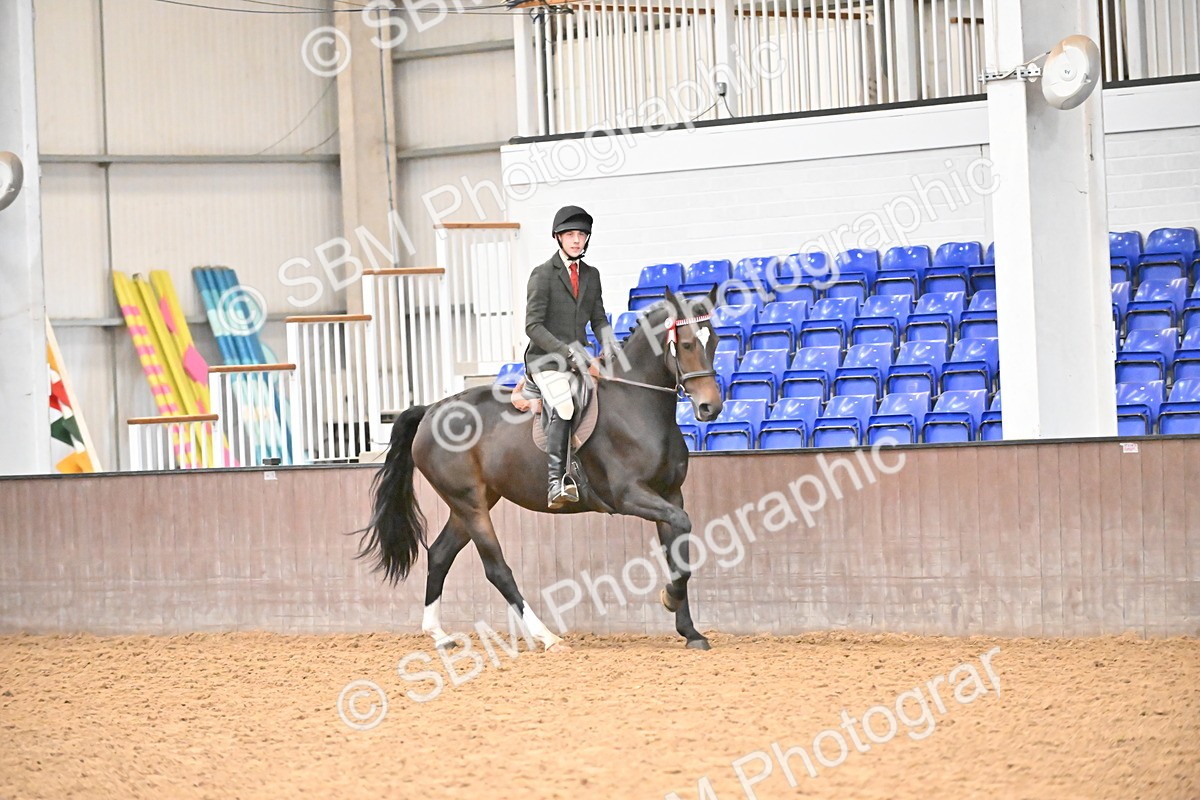 SBM_002397 - Class 22 - BSHA Ridden Hack & Riding Horse