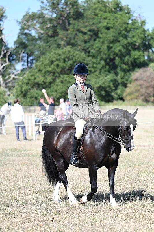 WJ7_3548 - Class 9 Mountain & Moorland Ridden