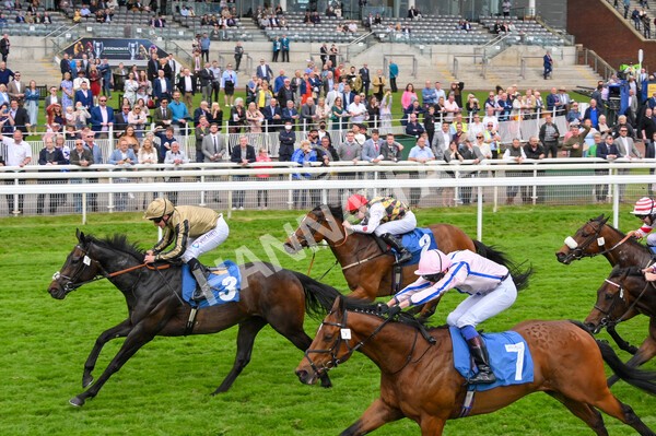 yr22052022r5-31 - Race 5: 5:35pm Sky Bet Sunday Series Sprint