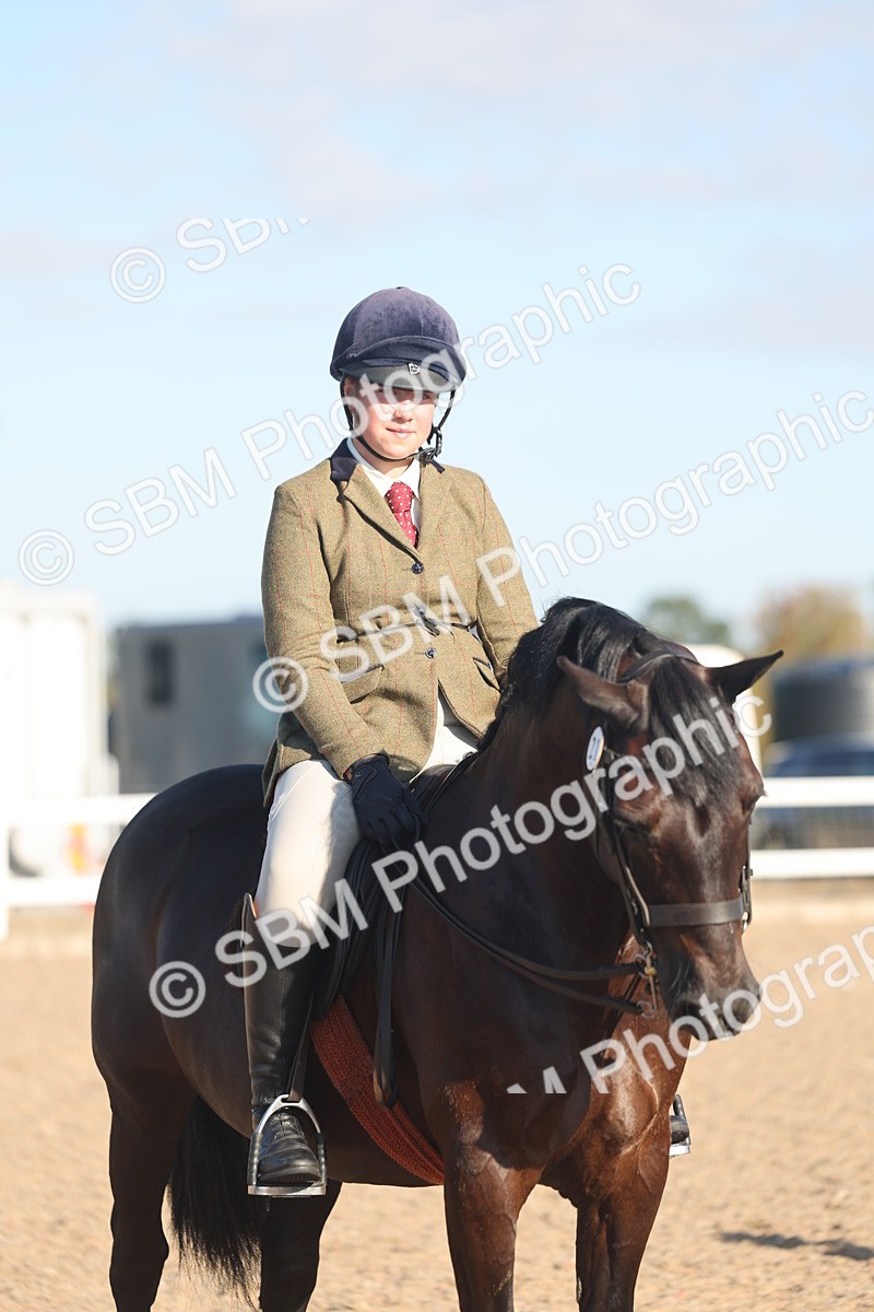 SBM_11060 - Class 302 - Ridden M&M Large Breeds