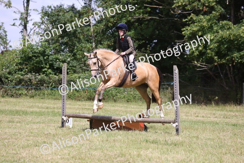 20260614-1781 - Class 21 - Novice Working Hunter Pony