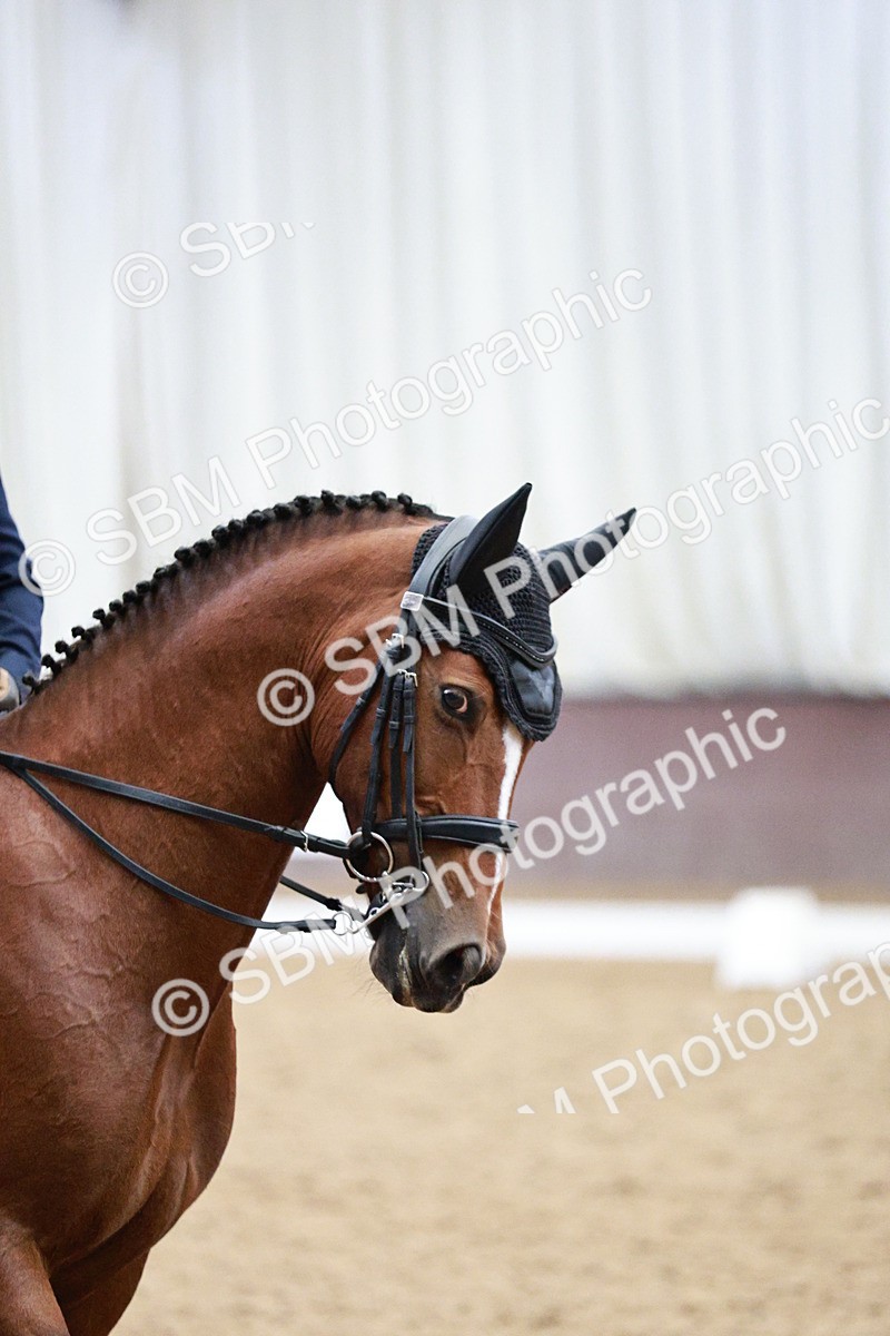 SBM_003860 - Class 8 - Elementary FSM - 16.20-17.00