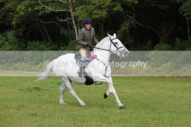 3E7A6076 - Working Hunter Championship