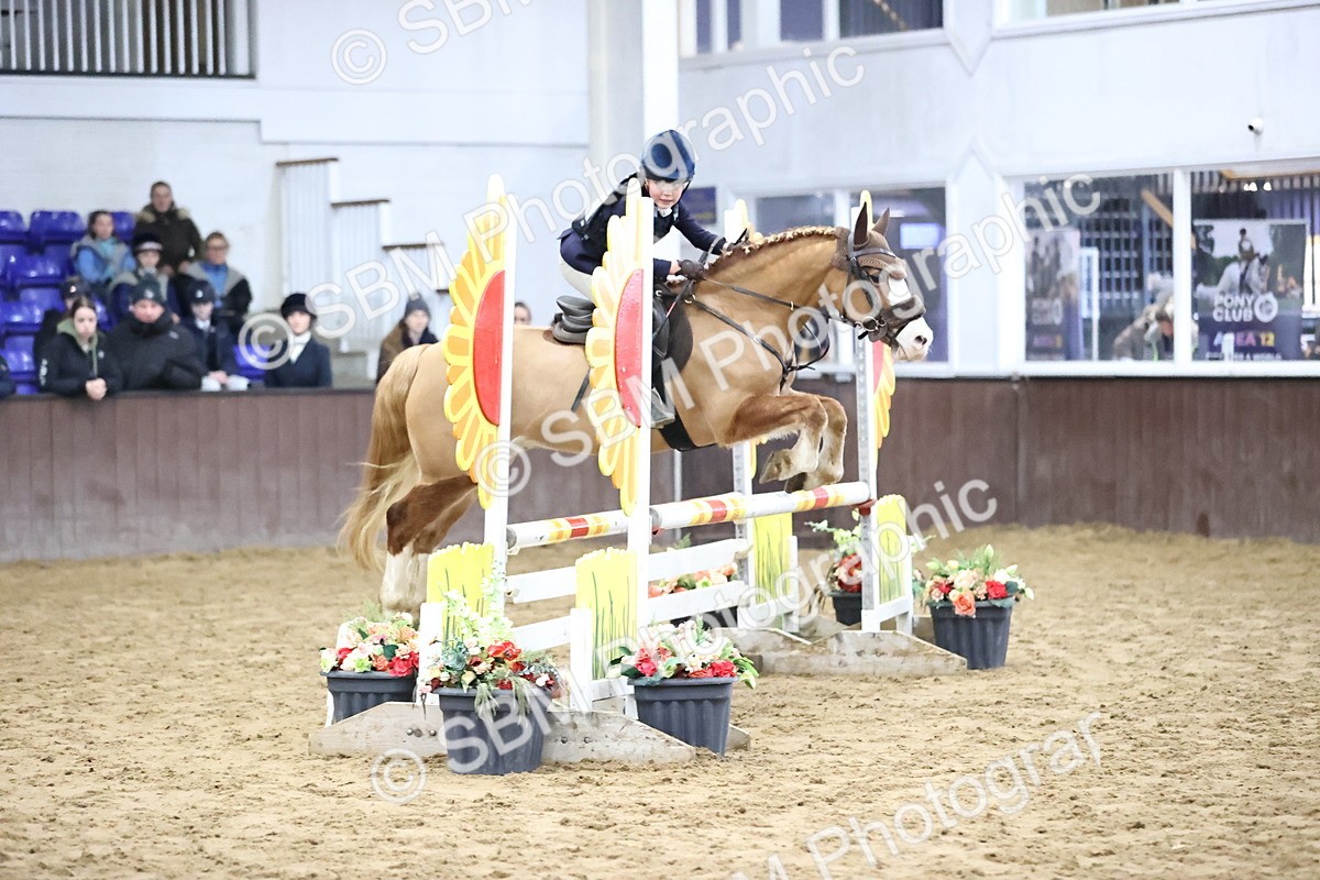 SBM_000716 - Class 2 - 80cm