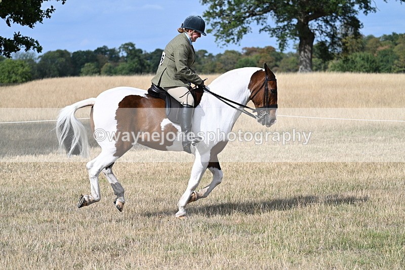 WJ7_7527 - Class 14 Ridden Coloured