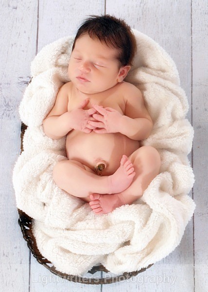 Buckle 51 - Baby Harper