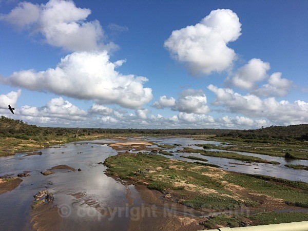 River View,Just One Of Many In The Kruger Park - LANDSCAPES & TREES