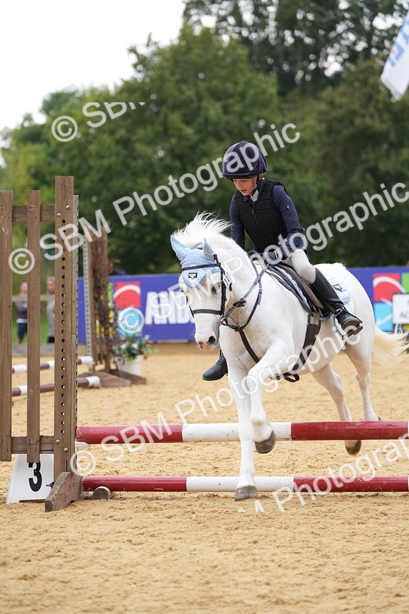 SBM_74590 - J4 - Mini Tour Junior Pony 45cm Championship