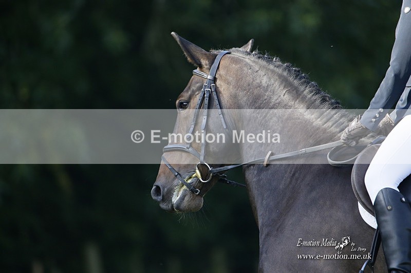 BVRC 120921 138 - Bourne Valley Riding Club UA Dressage & Show Jumping 12/09/21