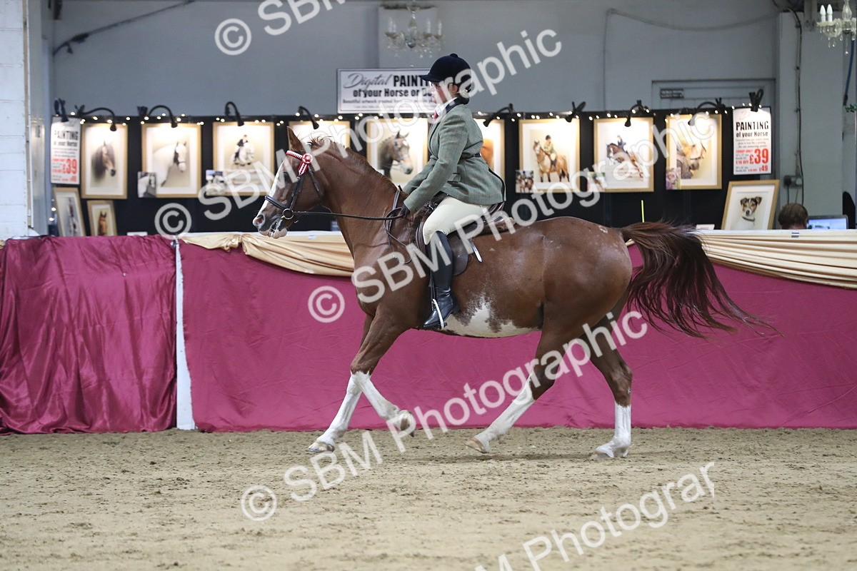 SBM_08455 - Class 11R Regional Ridden Veteran